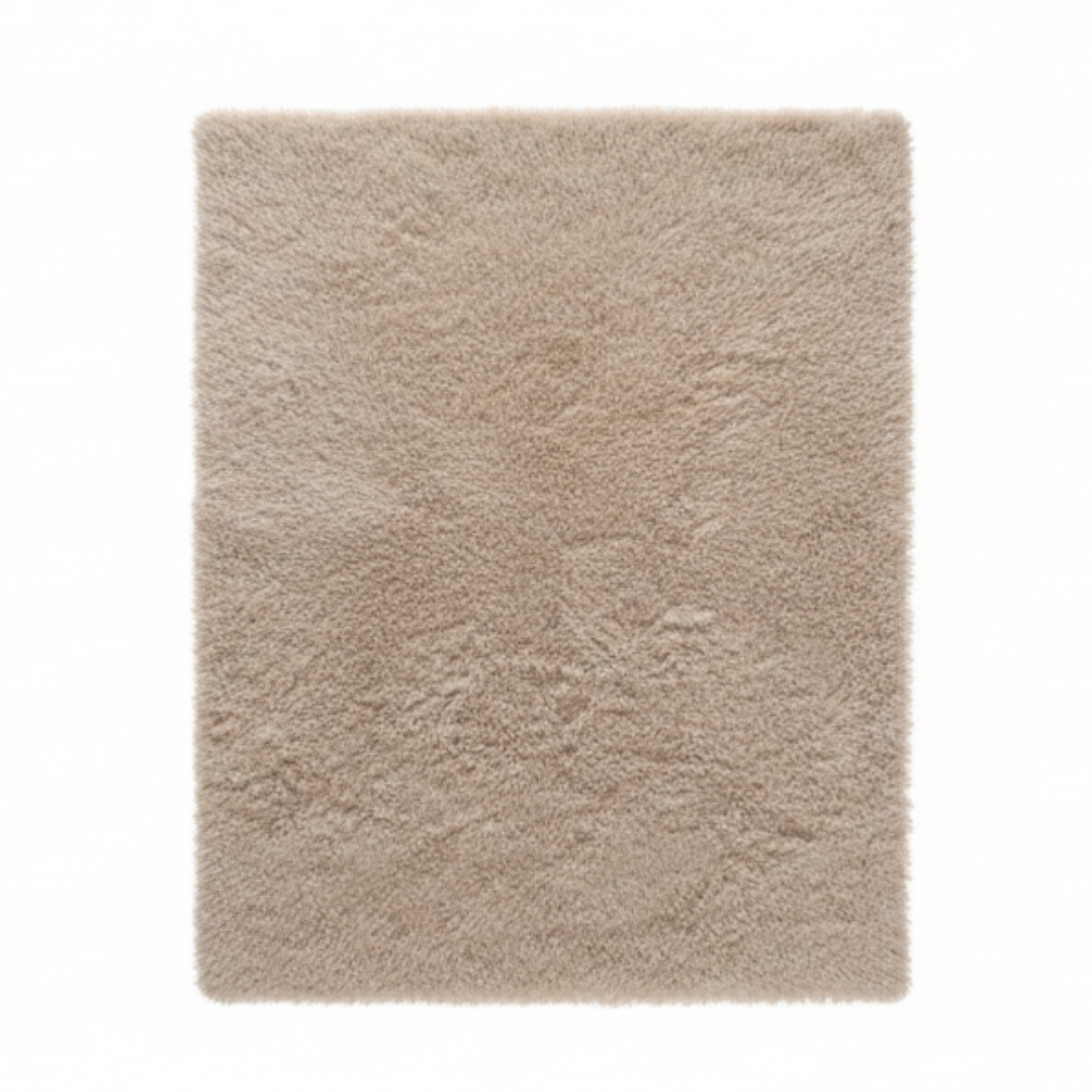 Grand Tapis Salon Beige 2