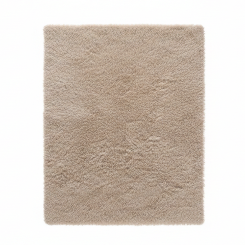 Grand Tapis Salon Beige 2