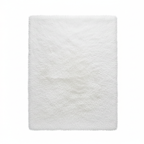 Grand Tapis Salon Blanc 2