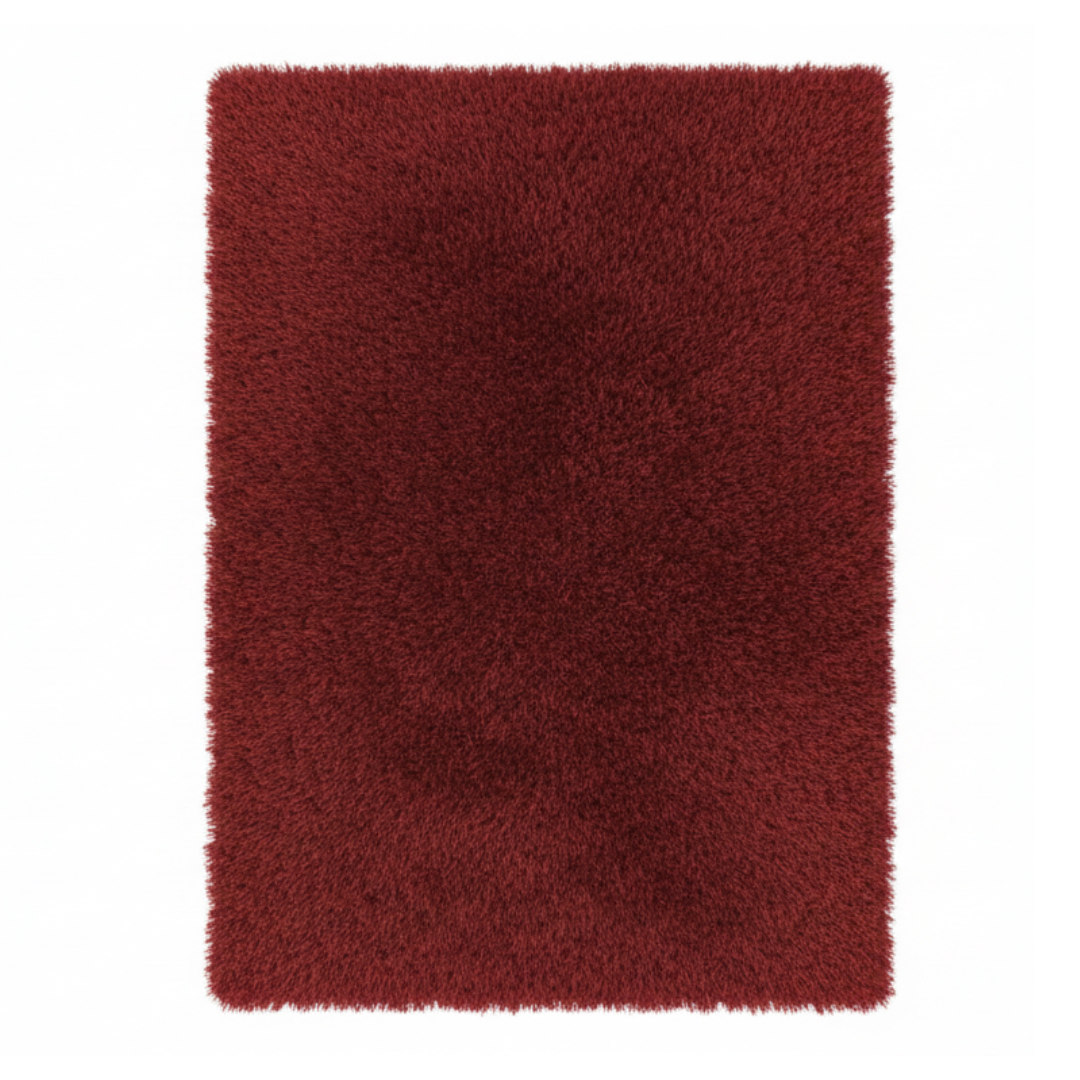 Grand Tapis Salon Bordeaux 2