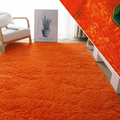 Grand Tapis Salon Orange