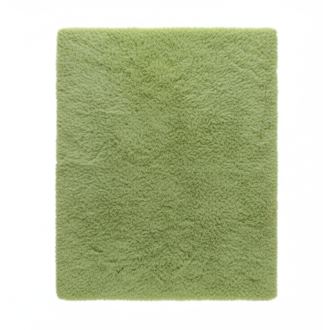 Grand Tapis Salon Vert 2