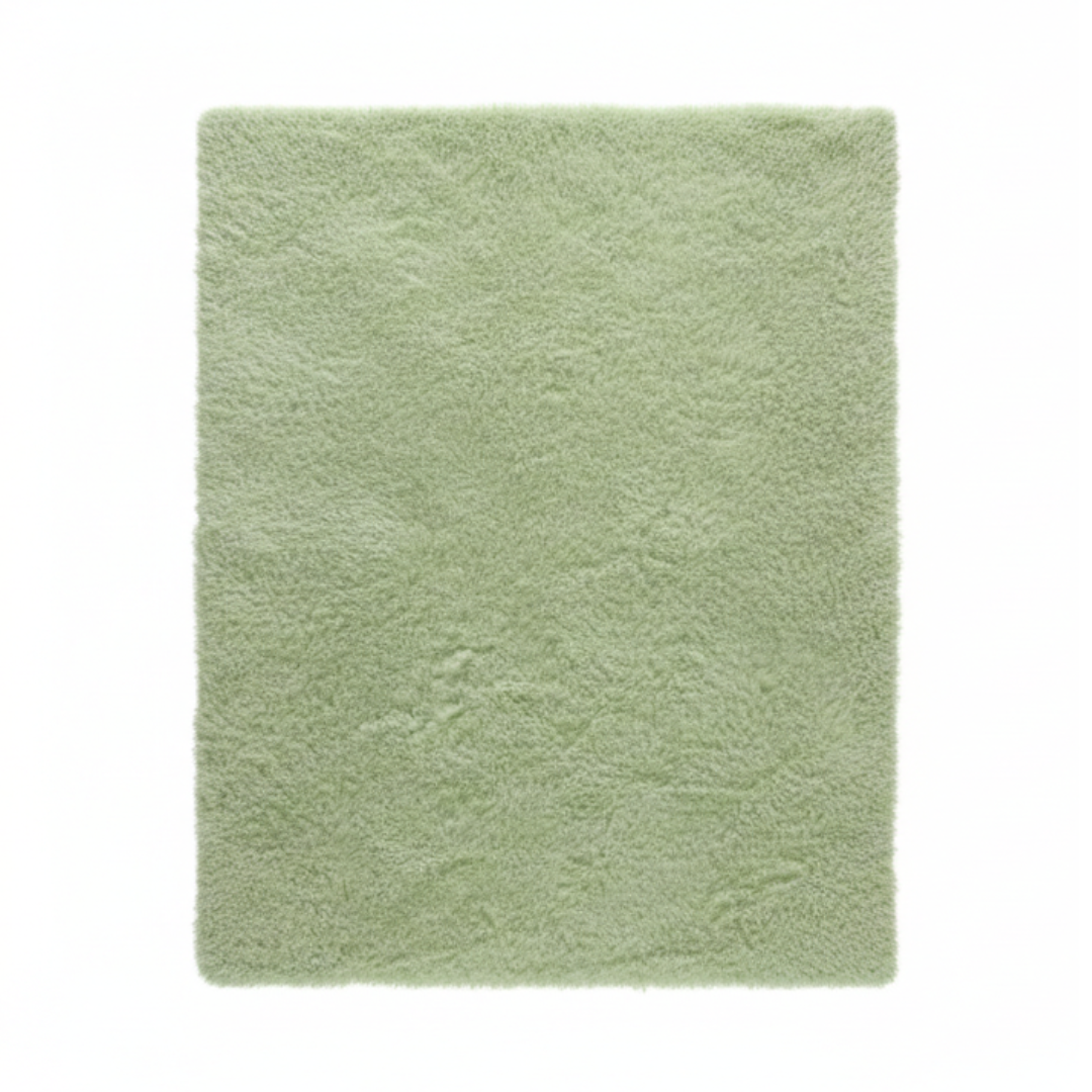 Grand Tapis Salon Vert Clair 2