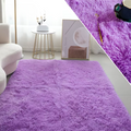 Grand Tapis Salon Violet